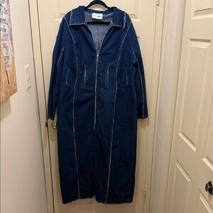 Fashion Nova Indigo Denim Jumpsuit